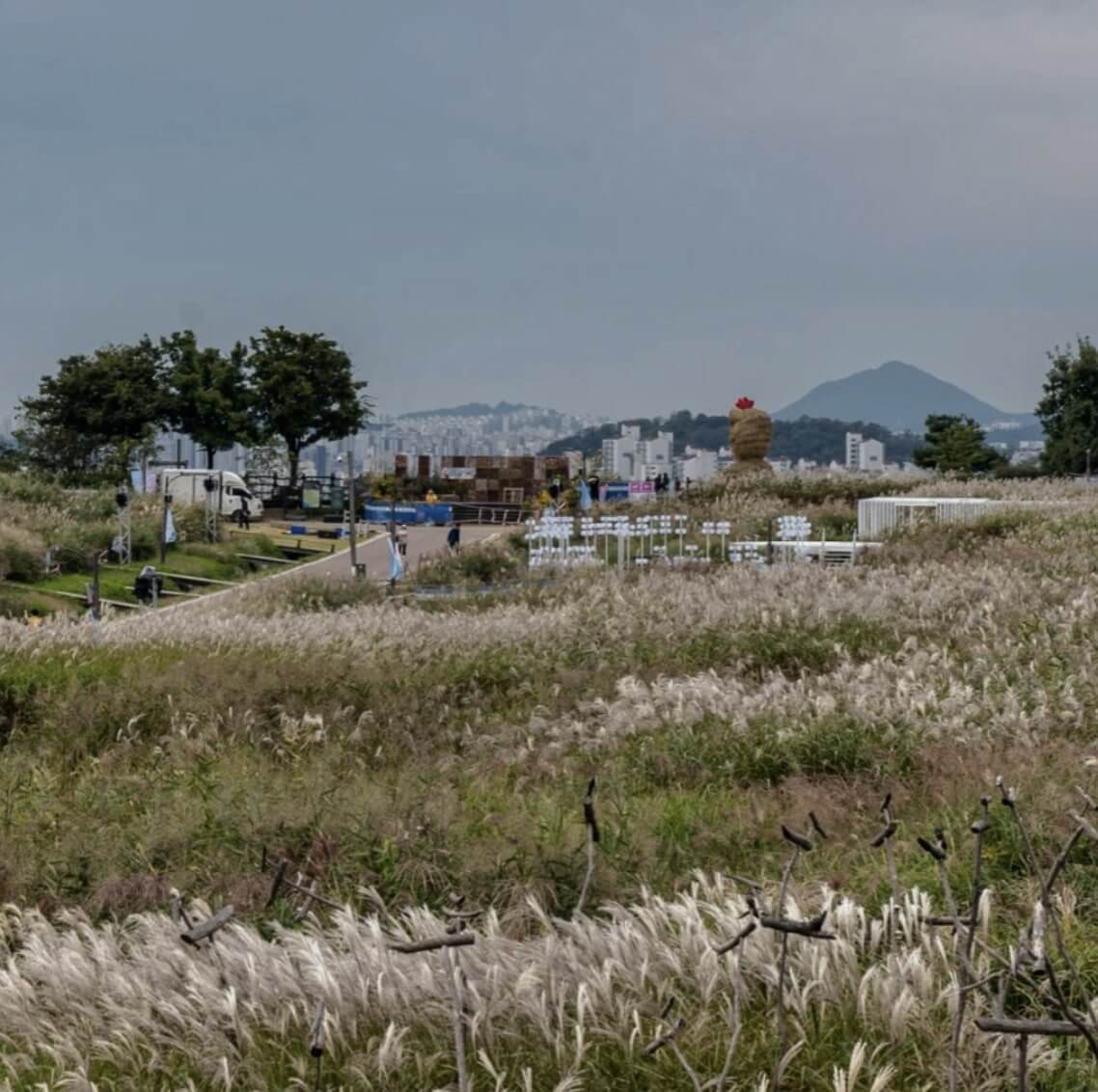 Haneul Park