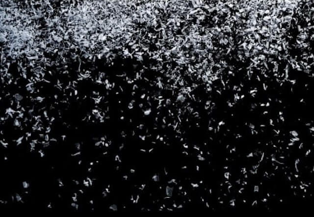 snow