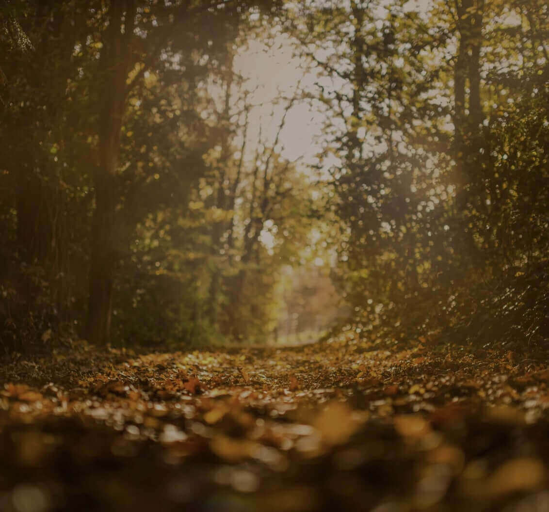 Fall Weather Returns