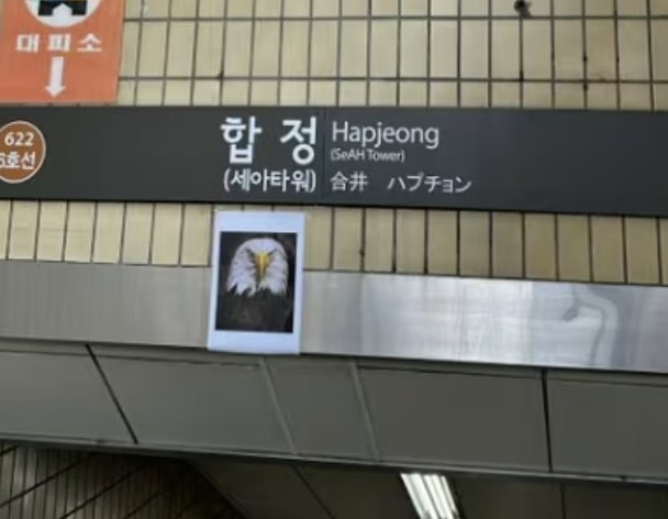 Eagle At Hapjeong Station