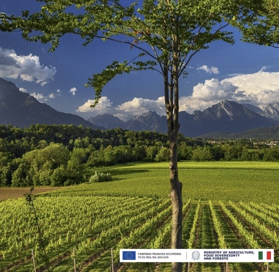 Sip Italy in Seoul, Prosecco DOC Event You Can’t Miss